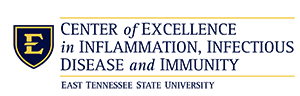 CIIDI Logo